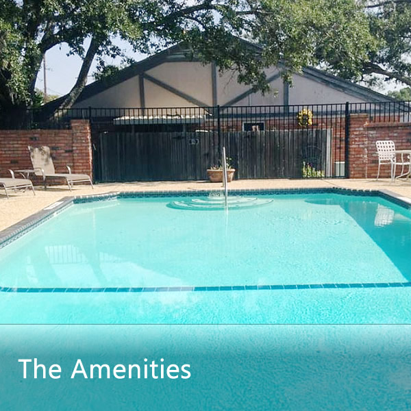 Features & Amenities